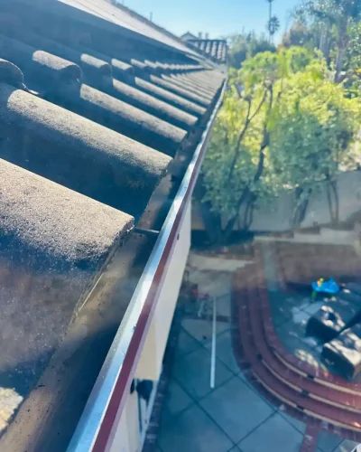 WhatsApp Image 2026-01-09 at 3.24.43 AM