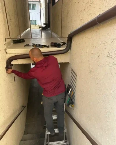 WhatsApp Image 2026-01-09 at 3.27.53 AM