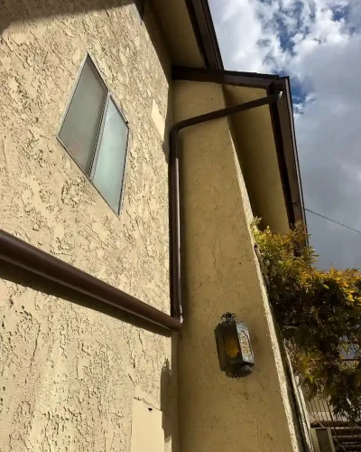 WhatsApp Image 2026-01-09 at 3.48.56 AM