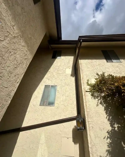 WhatsApp Image 2026-01-09 at 3.48.57 AM