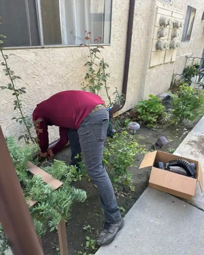 WhatsApp Image 2026-01-09 at 3.48.59 AM