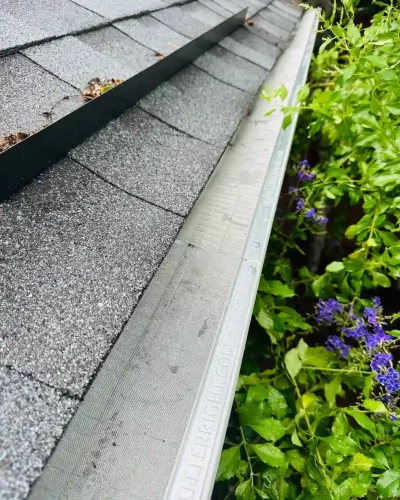 WhatsApp Image 2026-01-09 at 3.49.01 AM (1)