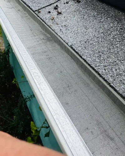 WhatsApp Image 2026-01-09 at 3.49.01 AM